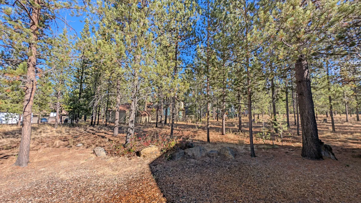 A tranquil exterior scene featuring tall pine trees, scattered rocks, and a distant cabin nestled in the woods. The image evokes a sense of peaceful natural beauty and highlights the outdoor setting that surrounds the property.